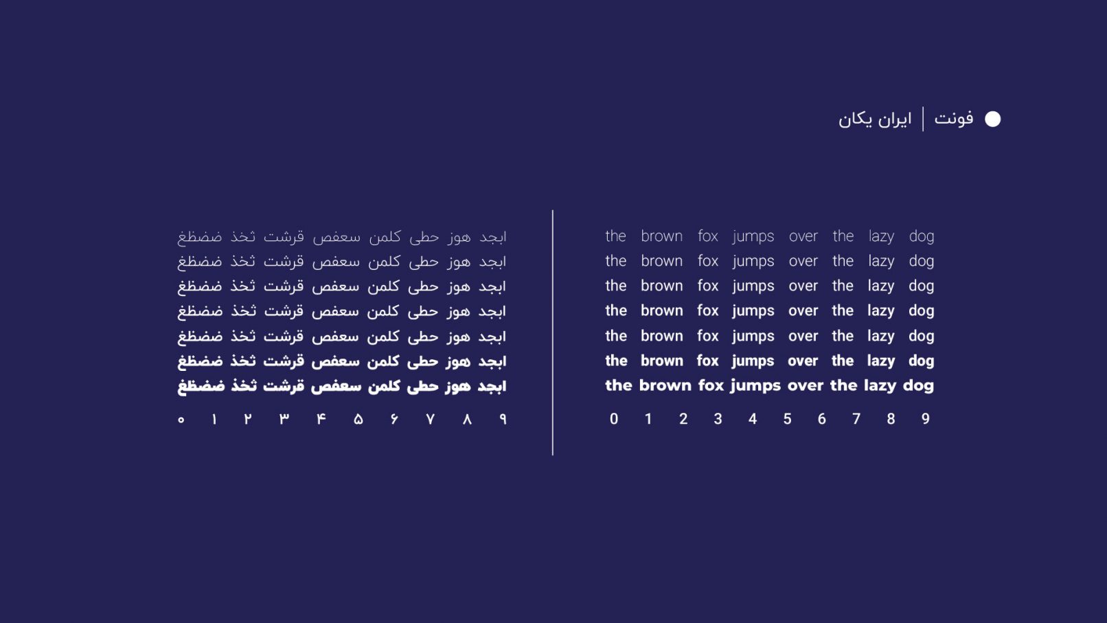 Dobby Brand Identity-24